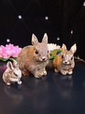 مجسمه خرگوش 3تیکه پلی استری درکالاهموطن